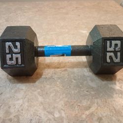 Fitness Gear 25lbs Dumbbell 