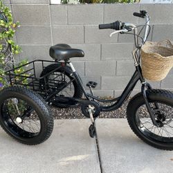 Trike 7-Spd