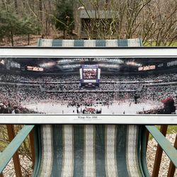 Detroit Red Wings Win 1998 Stanley Cup Panoramic Poster