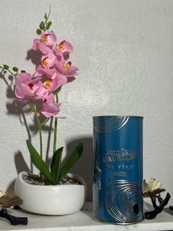 Jean Paul Gaultier Le Beau Narcisse