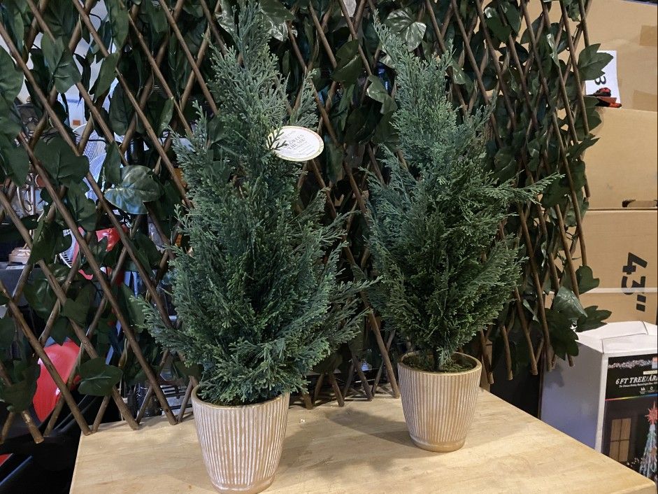 NEW! ALLEN+ROTH Faux Cypress Potted Plant Set (2)
