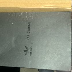 RAF Simons X Ozweego “mirrored”