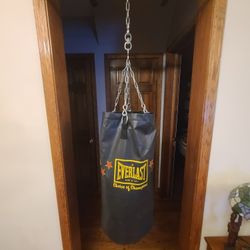 Boxing Kickboxing Punching Bag Everlast 