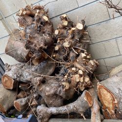 Wood for burning