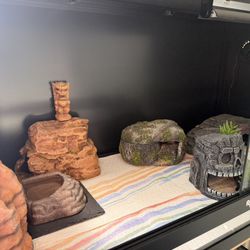 50 Gallon Cage 36x18x18