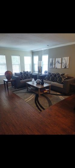 CHINILLE SOFT AND / LOVE SEAT
