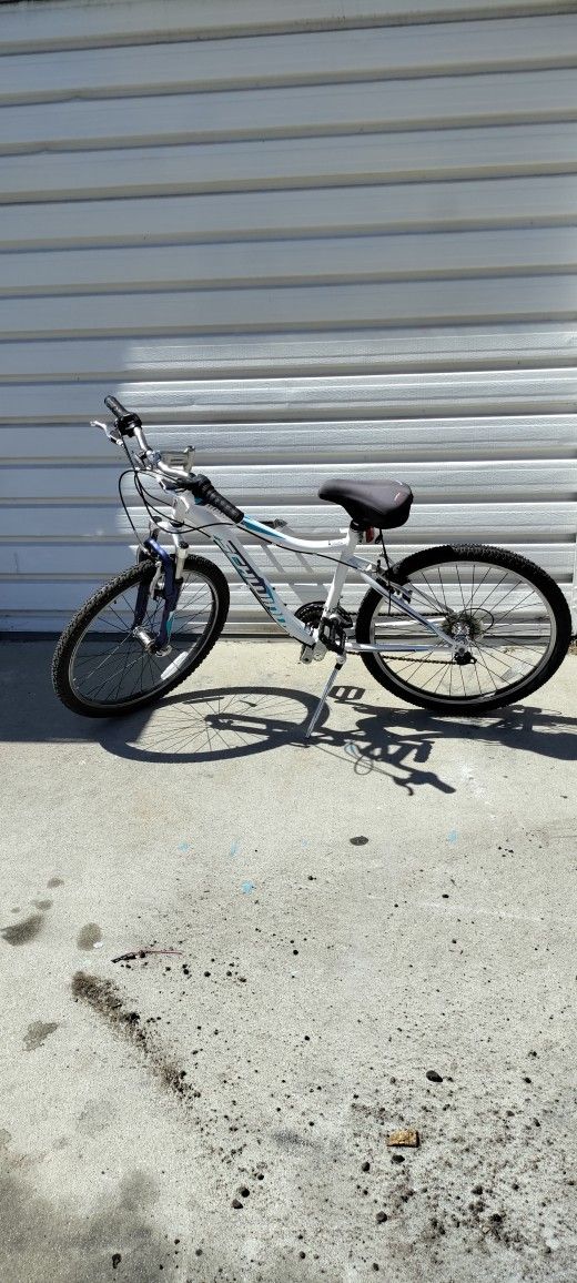 24" Schwinn Badger Mountain Bike For Sale