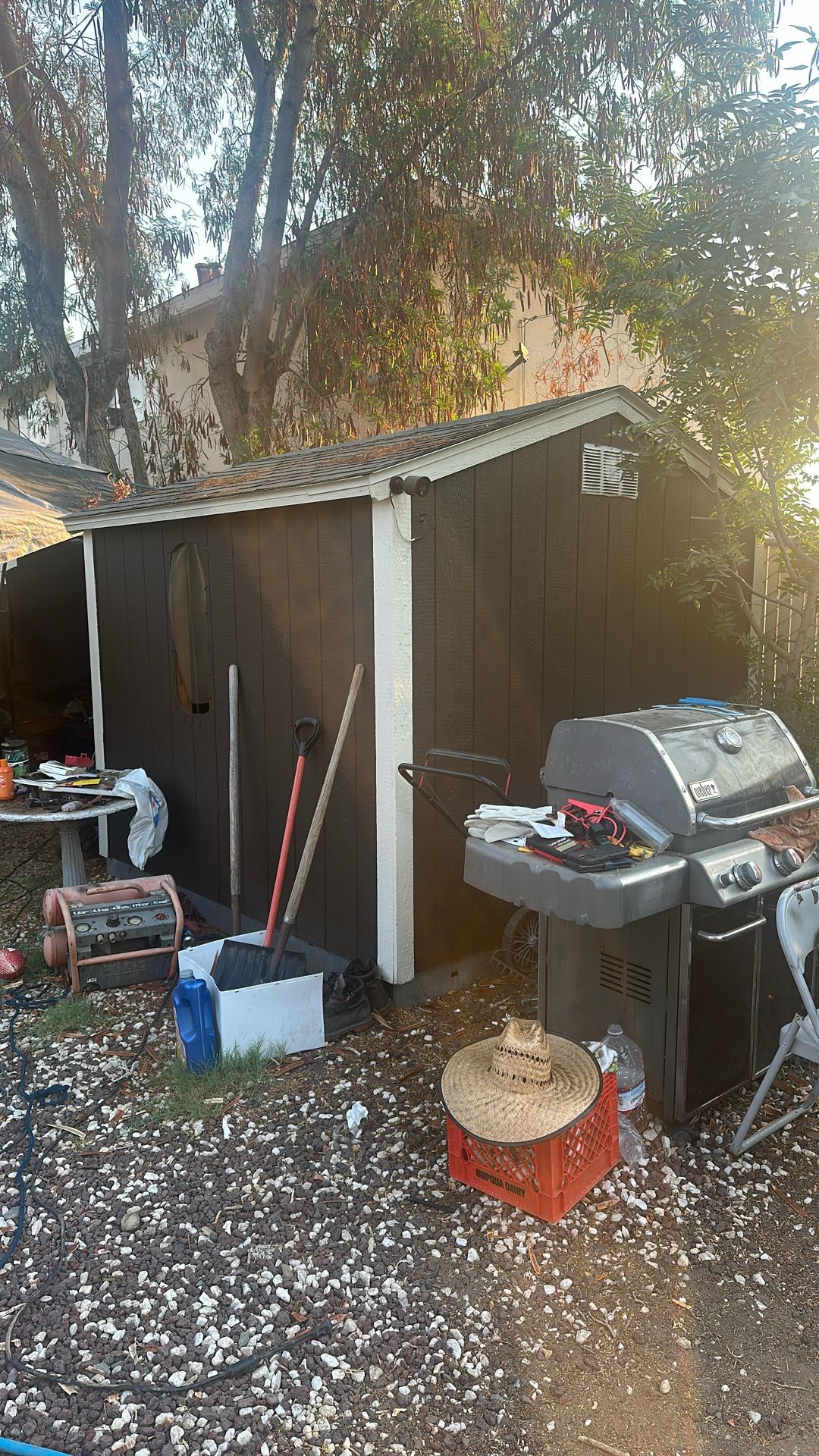 Shed For Sale 