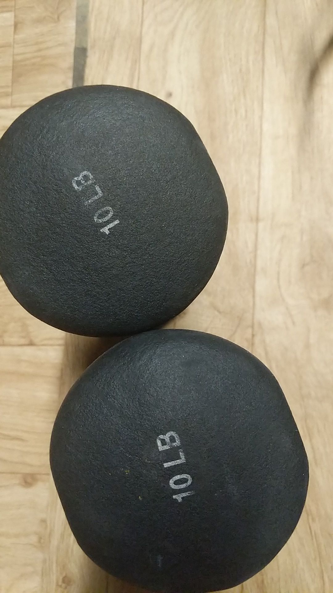 Two 10 pounds dumbbells