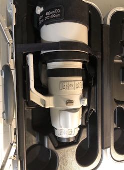 Canon EF 200-400mm F/4L IS USM Extender 1.4x