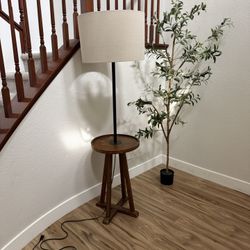 Floor Lamp/ Accent Lamp