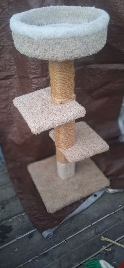 Cat condos