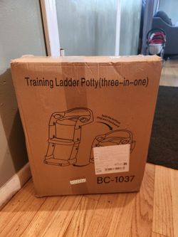 Training ladder potty chair