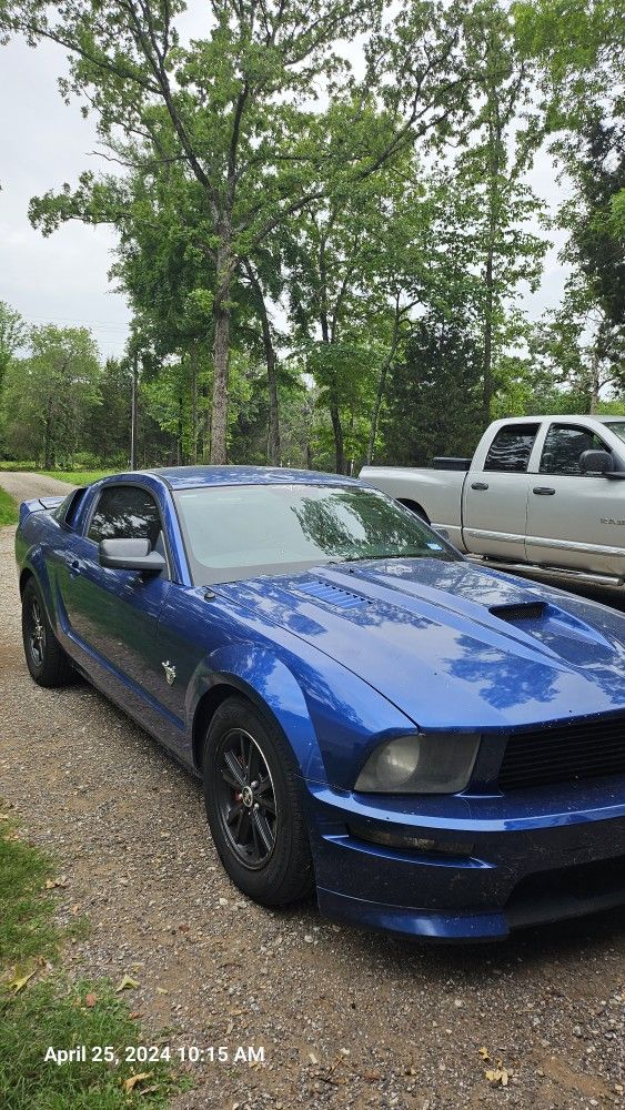 2009 Ford Mustang