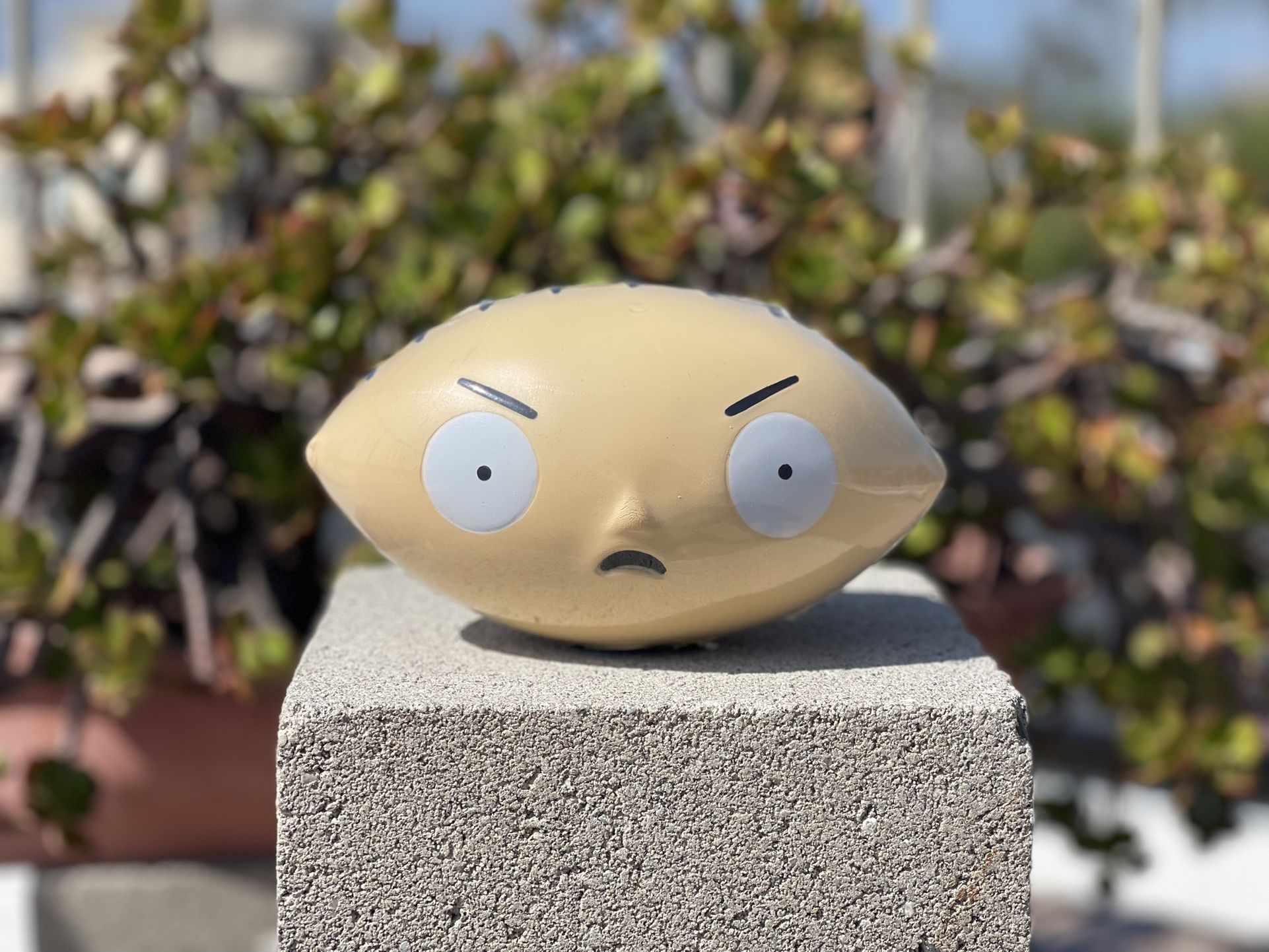 Family Guy Stewie Football 