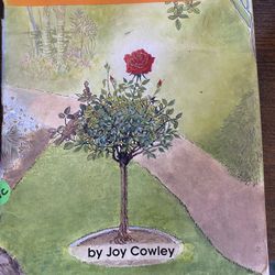 Children’s Used Books