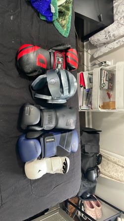 Martial arts gloves