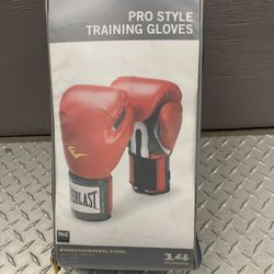 Everlast Boxing Gloves