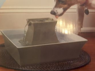 Pagoda pet fountain