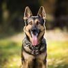 Jerry Winston