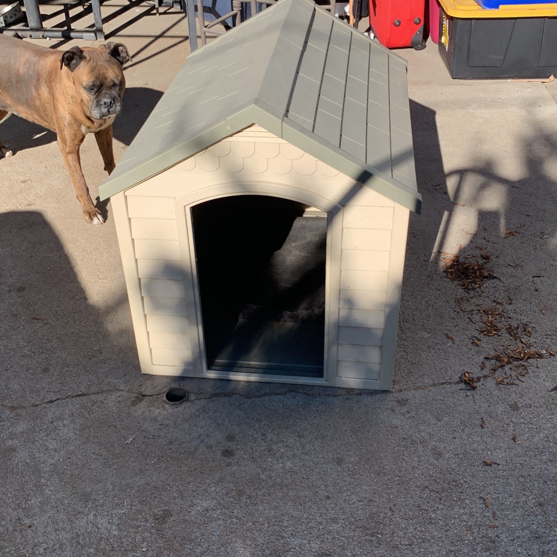 Dog House