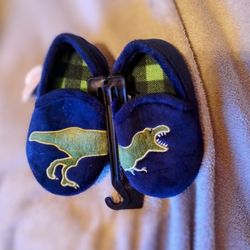 Size Toddler 5- 6 Dinosaur Slippers.....  🦖