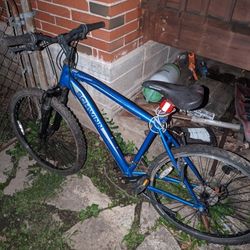 Schwinn Bike 