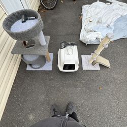 cat stuff