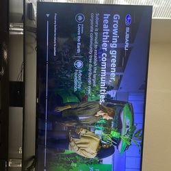 65 inch Phillips tv