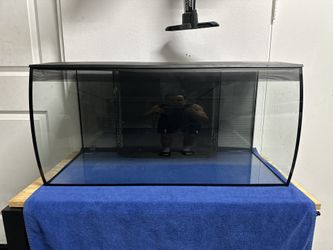 Fluval Flex 32 Gallon
