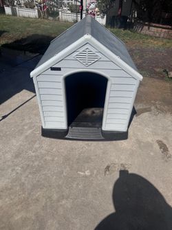 Dog house