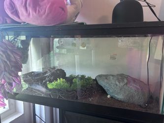 Tank with accessories