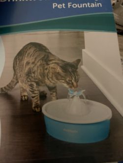 Cat Fountain
