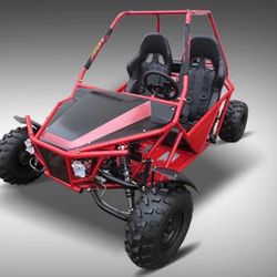 200cc Batman Go-Kart . Oil Cooled 