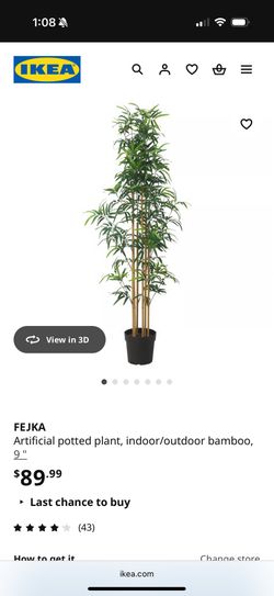 Faux Bamboo Plant