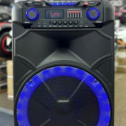 15" Rechargeable Bluetooth Party Speaker