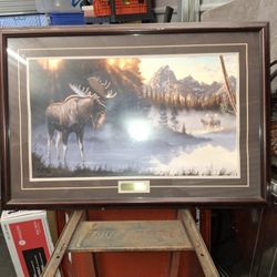 Bull Moose Print "Crowning Light" By Tom Mansanarez