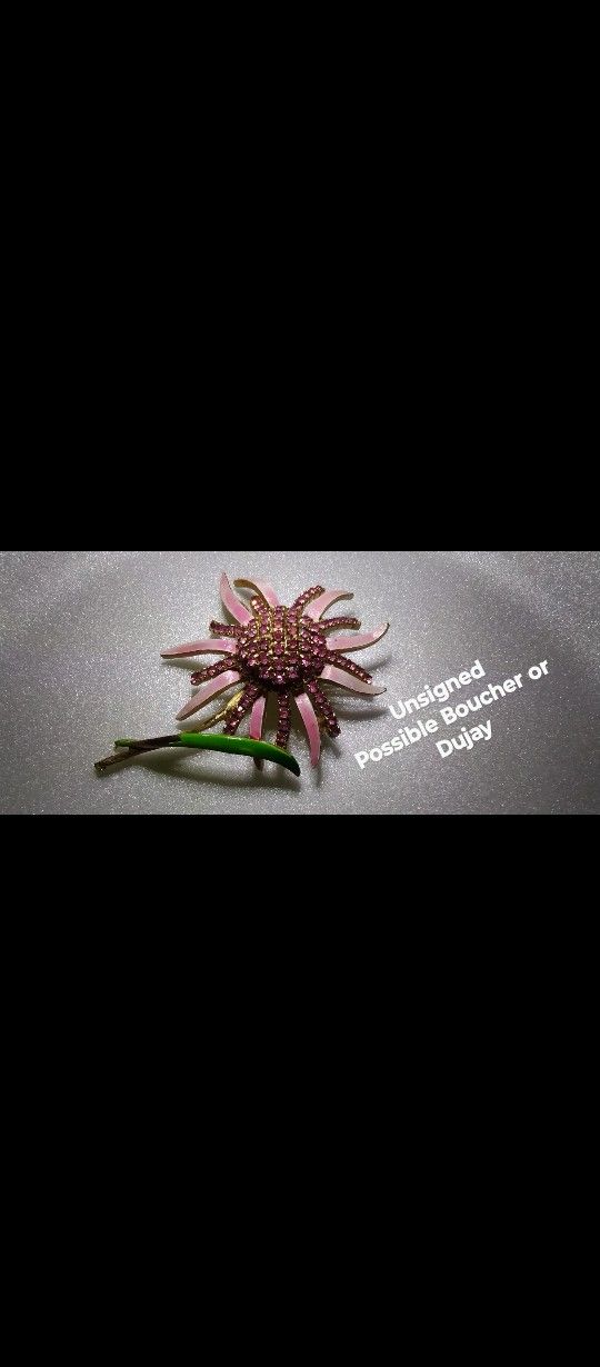 Beautiful Enamel Brooch / Earrings