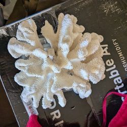 CORAL, SHELLS, POND OR TANKS, MISC