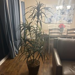 Artificial Plant 