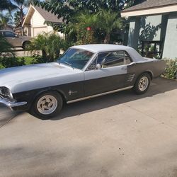 1966 Ford Mustang