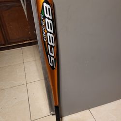 Baseball Bat 33