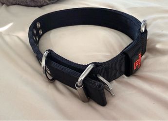 Big dog collar