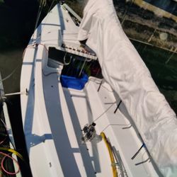 Harbor 20  Sailboat  Schok