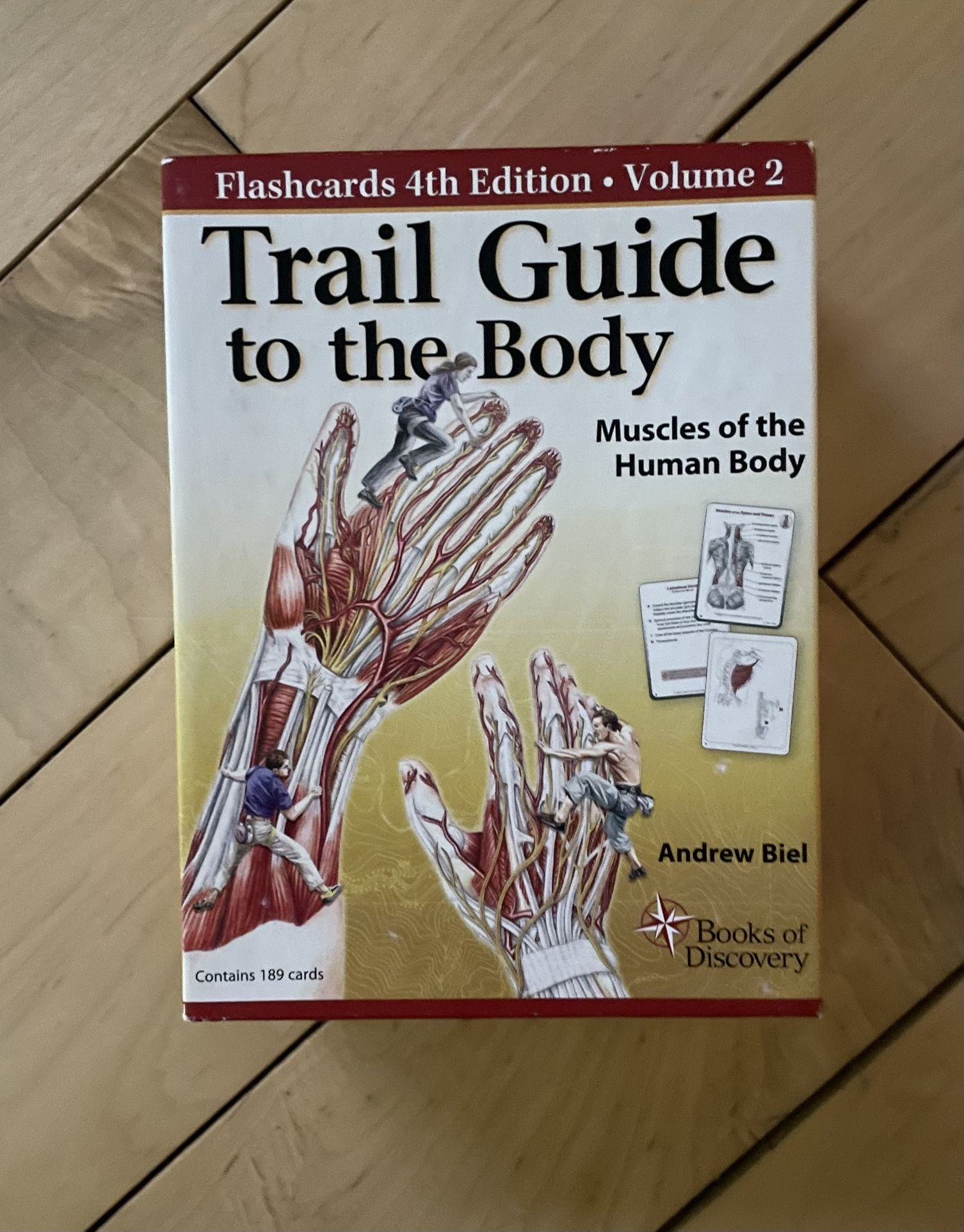 Trail Guide To The Body Flashcards Vol 2 Muscles Of The Body For Sale Trail guide to the body flashcards vol 2 muscles of the body for sale