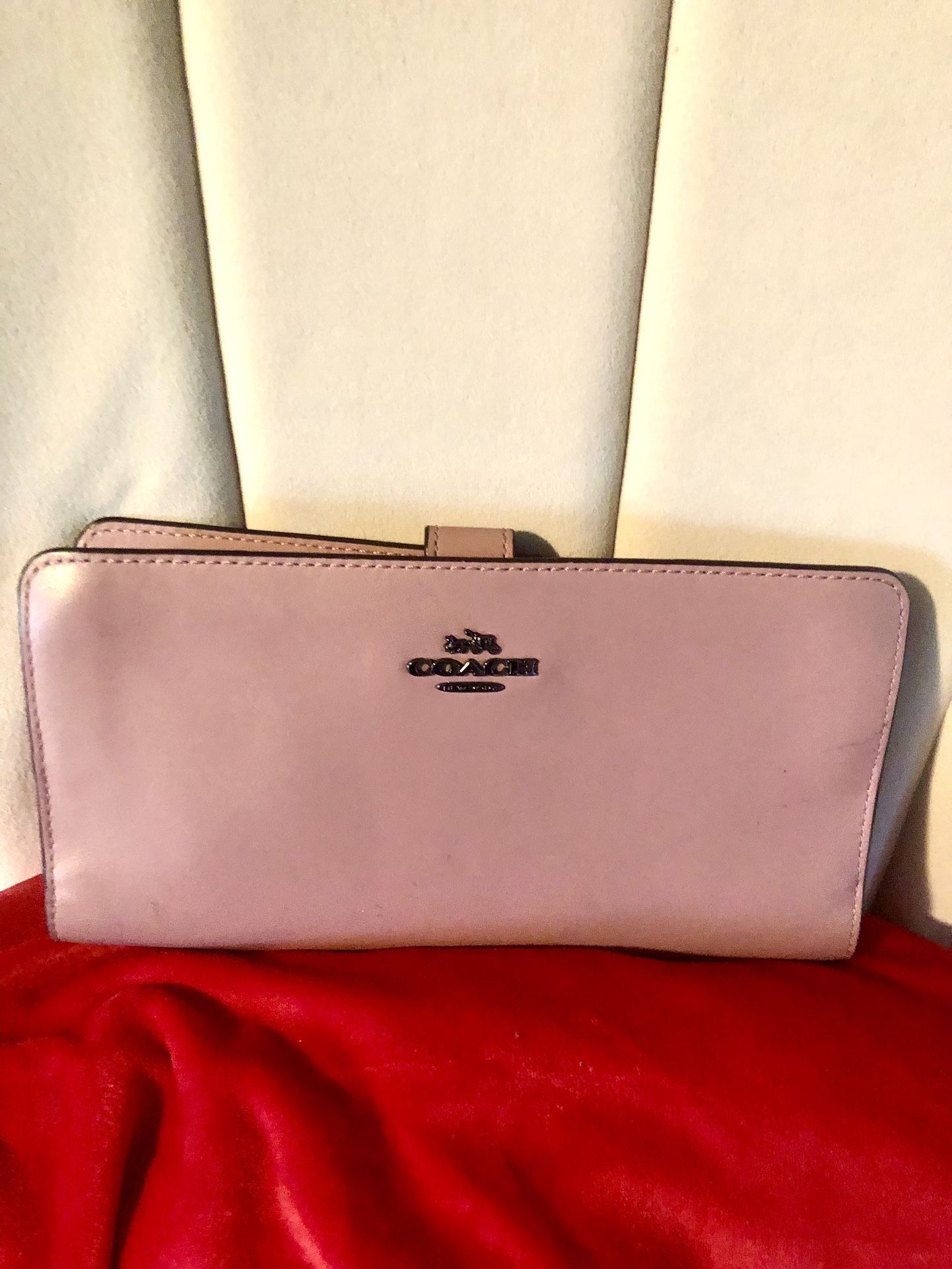 Coach Pouch Bag