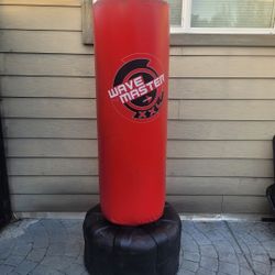 XL punching 👊 Kicking Bag 
