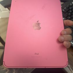 Ipad 10th Gen And More