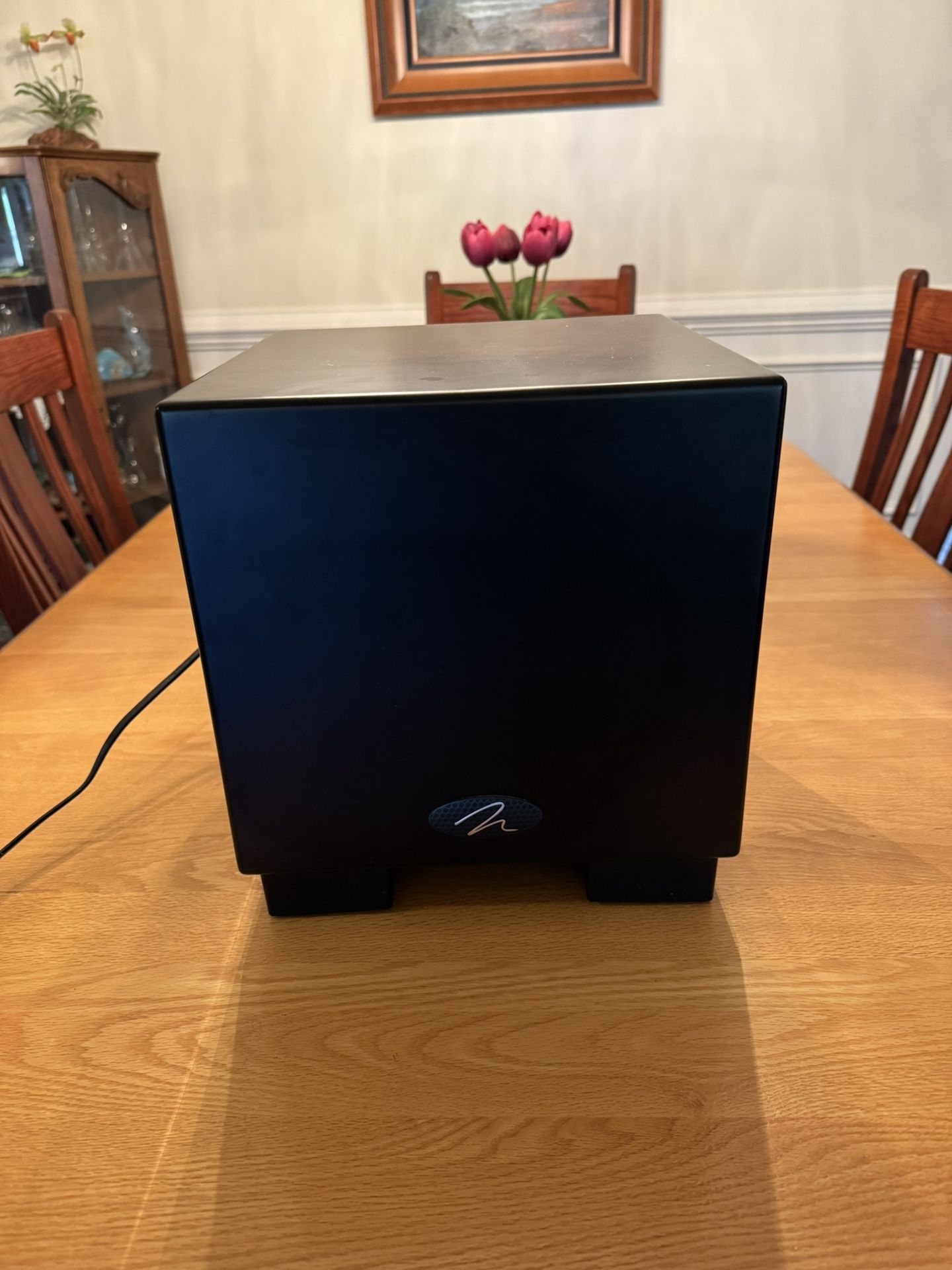 MartinLogan Dynamo 700w Wireless High Resolution Subwoofer System