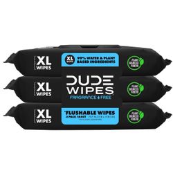 Dude Wipes Let It Rip